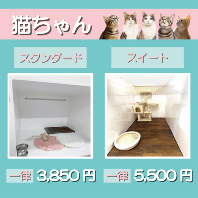 ペットホテル 猫ちゃん スタンダード 一律￥3,850 スイート 一律￥5,500