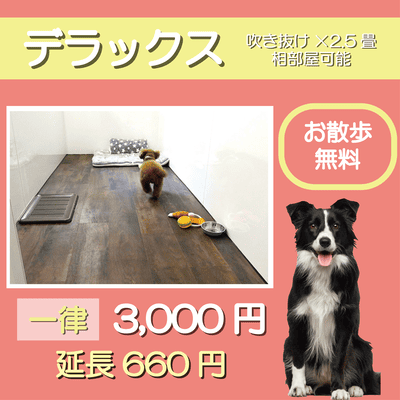 ペットホテル デラックス 吹き抜け2.5畳程 相部屋可能  一律￥3,000 延長￥660 お散歩無料
