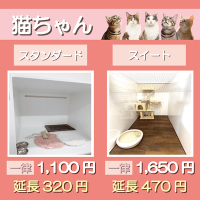 ペットホテル 猫ちゃん スタンダード 一律￥1,100  延長￥320 スイート 一律￥1,650  延長￥470
