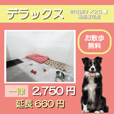 ペットホテル デラックス 吹き抜け2.5畳程 相部屋可能 お散歩無料 一律￥2,750 延長￥660