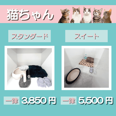 ペットホテル 猫ちゃん スタンダード 一律￥3,850 スイート 一律￥5,500