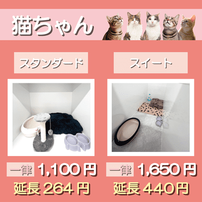 ペットホテル 猫ちゃん スタンダード 一律￥1,100  延長￥264 スイート 一律￥1,650  延長￥440