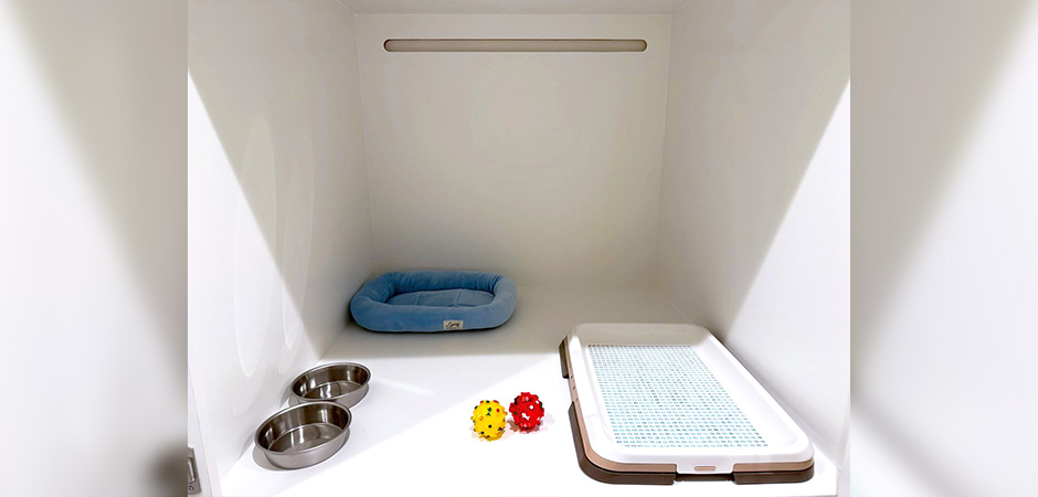 ワンルーク板橋区中板橋店のペットホテル