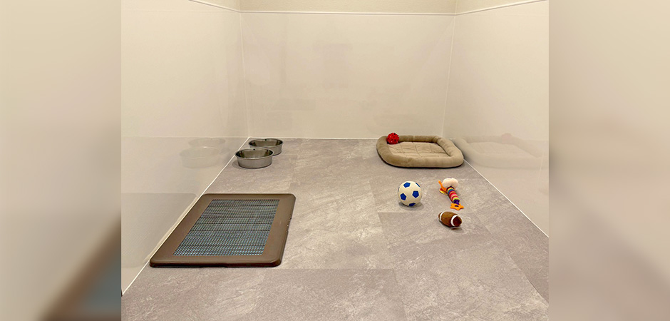 ワンルーク板橋区中板橋店のペットホテル