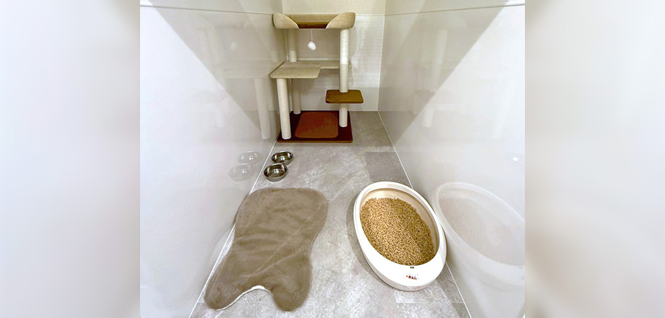 ワンルーク板橋区中板橋店のペットホテル