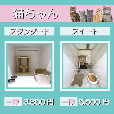 ペットホテル 猫ちゃん スタンダード 一律￥3,850 スイート 一律￥5,500
