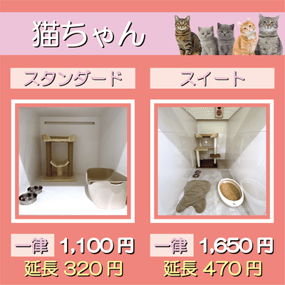 ペットホテル 猫ちゃん スタンダード 一律￥1,100  延長￥320 スイート 一律￥1,650  延長￥470