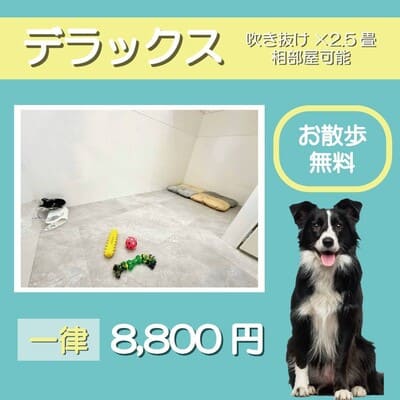 ペットホテル デラックス 吹き抜け2.5畳程 相部屋可能 一律￥8,800 お散歩無料