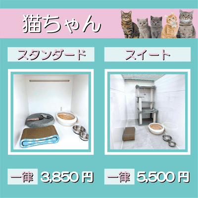 ペットホテル 猫ちゃん スタンダード 一律￥3,850 スイート 一律￥5,500