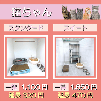 ペットホテル 猫ちゃん スタンダード 一律￥1,100  延長￥320 スイート 一律￥1,650  延長￥470