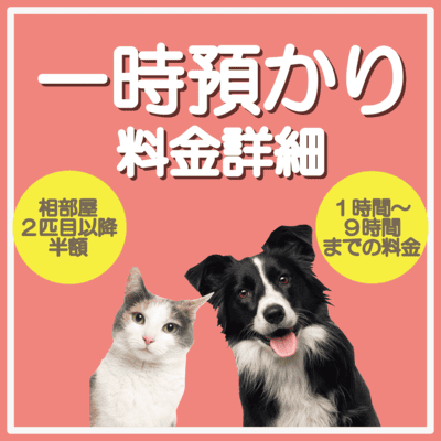 一時預かり料金詳細 相部屋2匹目以降半額 1時間〜9時間までの料金