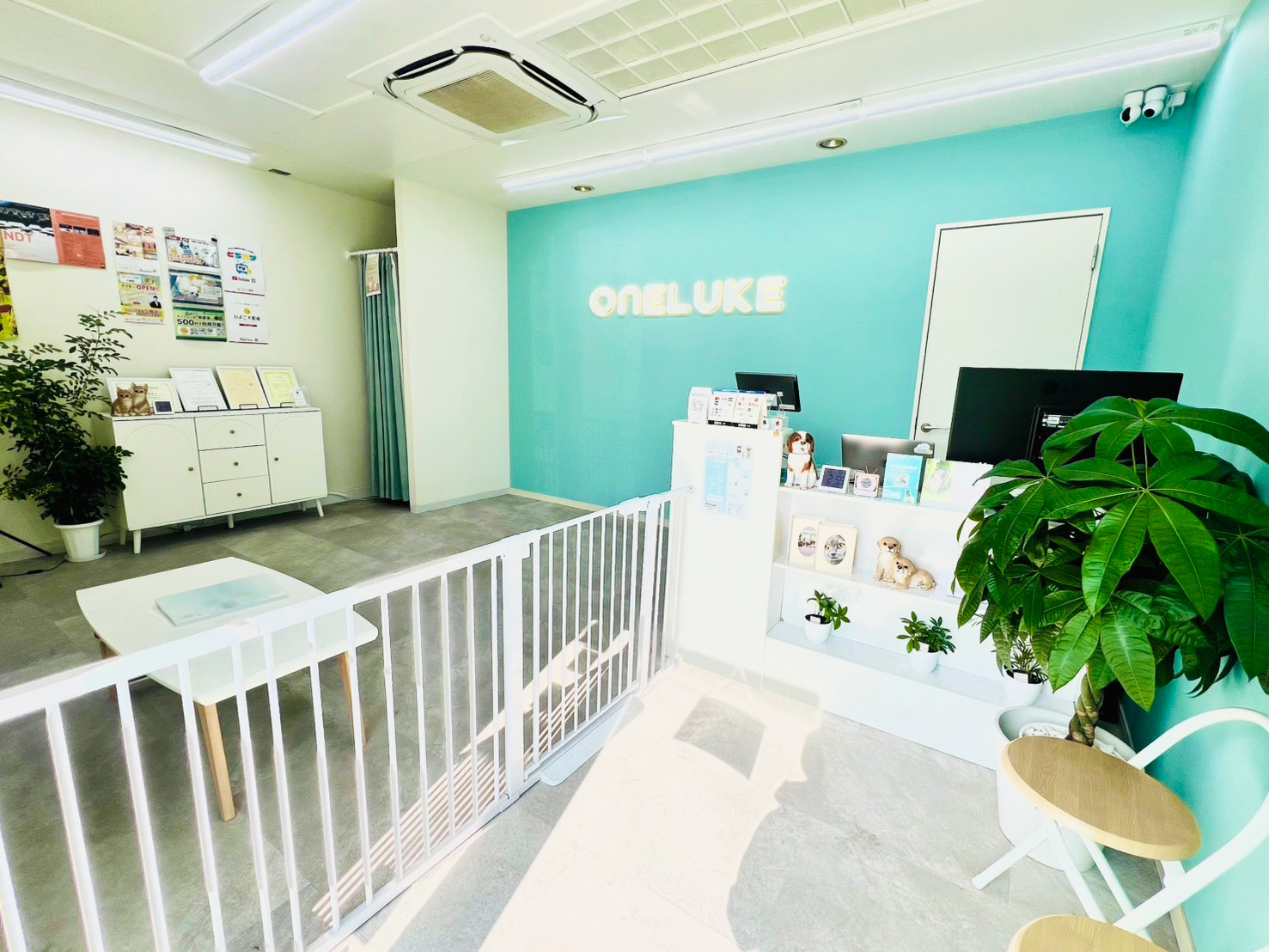ワンルーク守山区中新店の内観
