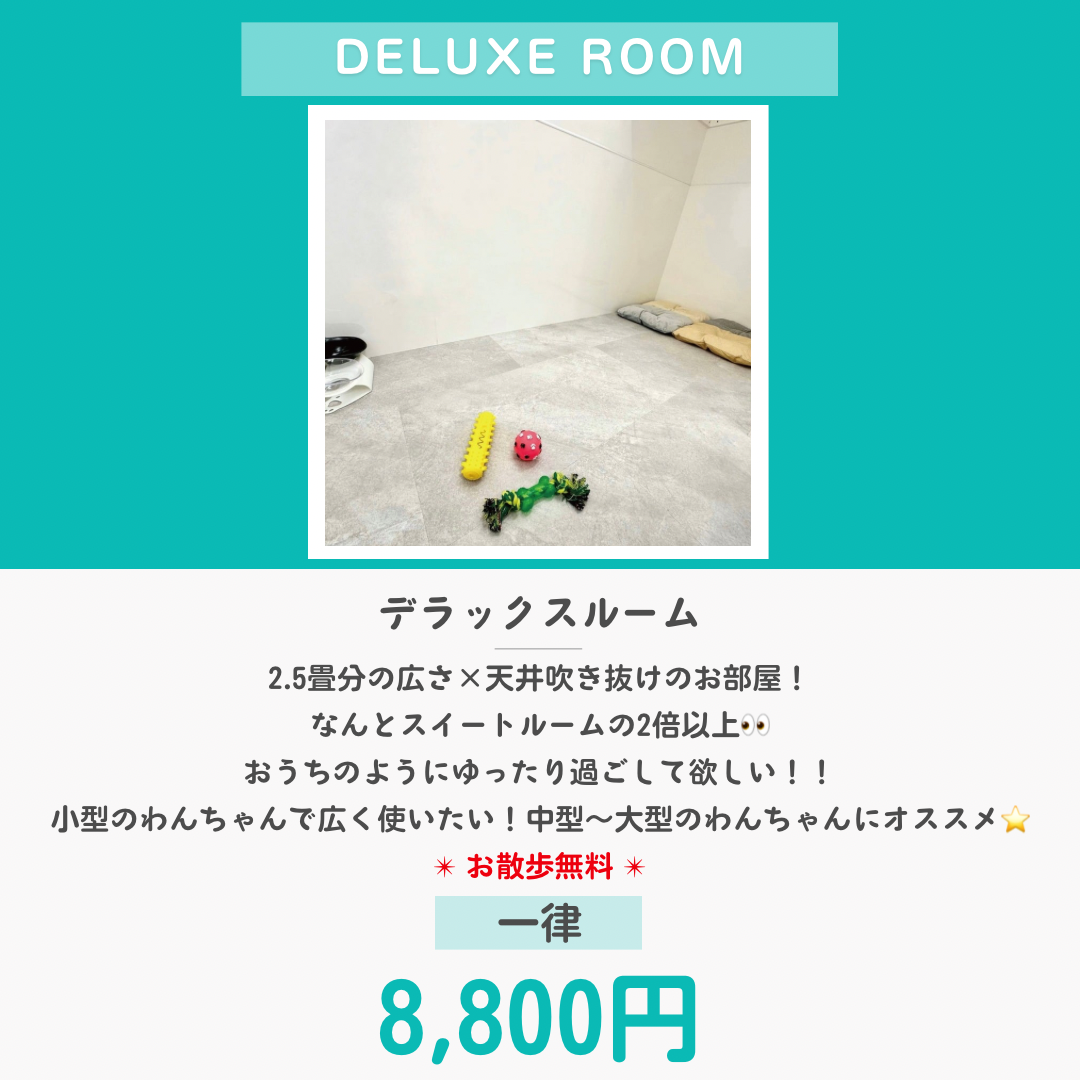 ペットホテル デラックス 吹き抜け2.5畳程 相部屋可能  一律￥8,800 お散歩無料