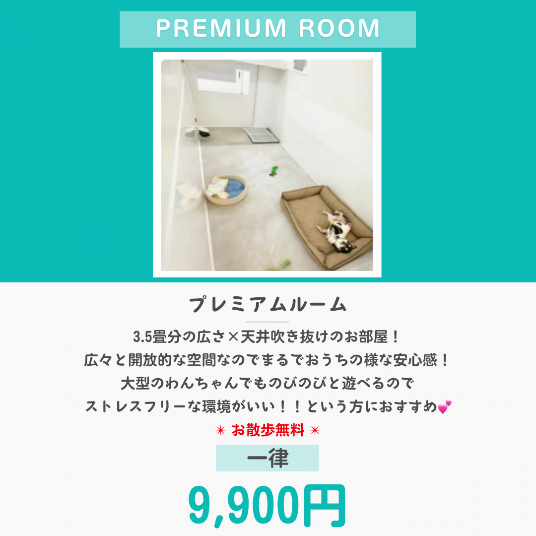 ペットホテル プレミアム 吹き抜け3.5畳程  一律￥9,900 お散歩無料