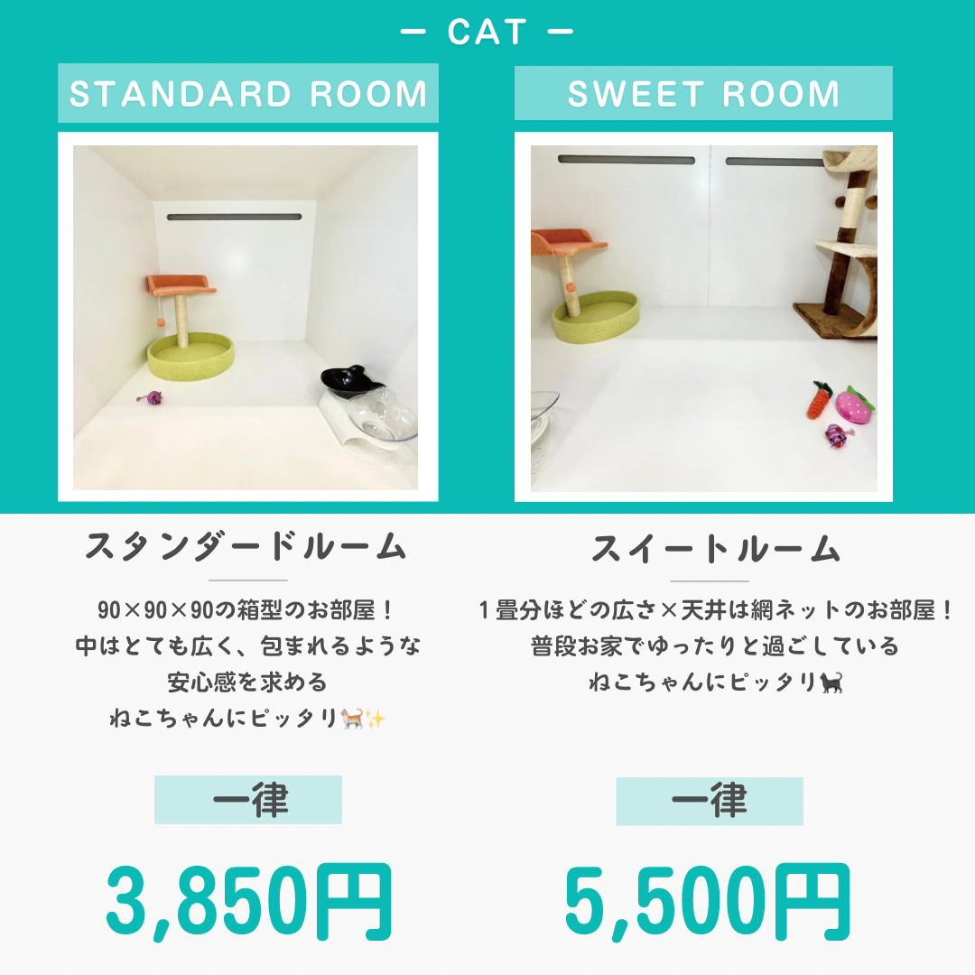 ペットホテル 猫ちゃん スタンダード 一律￥3,850 スイート 一律￥5,500
