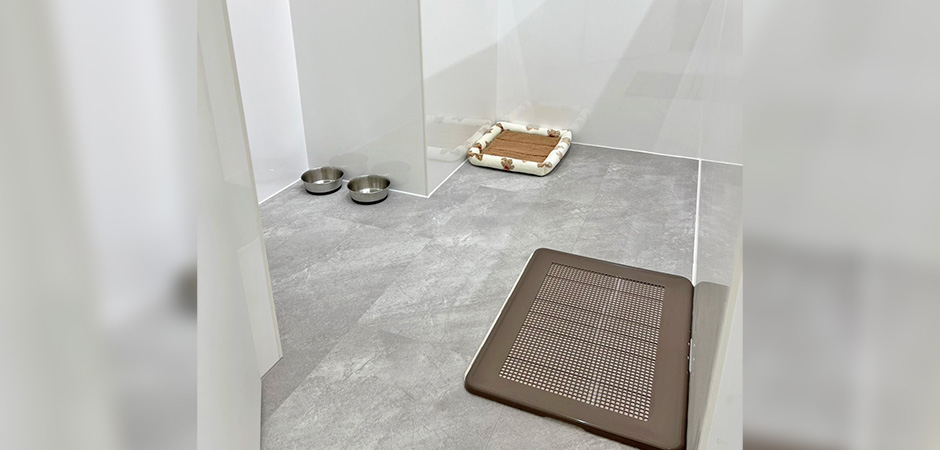 ワンルーク中央区日本橋店のペットホテル