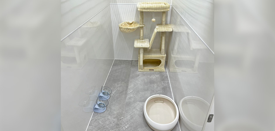 ワンルーク中央区日本橋店のペットホテル