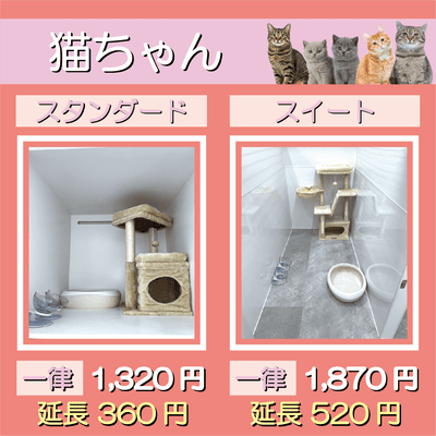 ペットホテル 猫ちゃん スタンダード 一律￥1,320  延長￥360 スイート 一律￥1,870  延長￥520