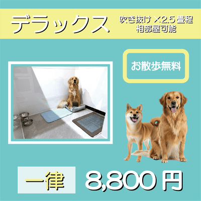 ペットホテル デラックス 吹き抜け2.5畳程 相部屋可能  一律￥8,800 お散歩無料