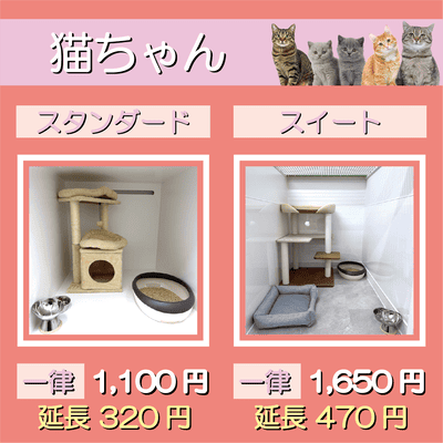 ペットホテル 猫ちゃん スタンダード 一律￥1,100  延長￥320 スイート 一律￥1,650  延長￥470