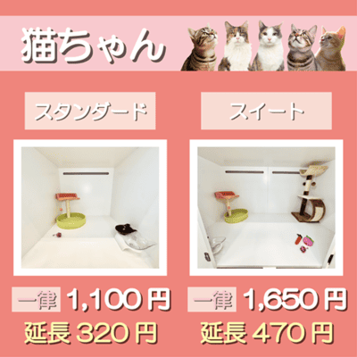 ペットホテル 猫ちゃん スタンダード 一律￥1,100  延長￥320 スイート 一律￥1,650  延長￥470