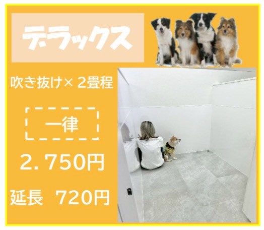 ペットホテル デラックス 吹き抜け2.5畳程 相部屋可能  一律￥2,750 延長￥660 お散歩無料