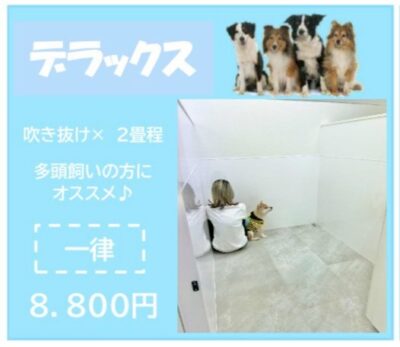 ペットホテル デラックス 吹き抜け2.5畳程 相部屋可能  一律￥8,800 お散歩550円～