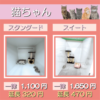 ペットホテル 猫ちゃん スタンダード 一律￥1,100  延長￥320 スイート 一律￥1,650  延長￥470