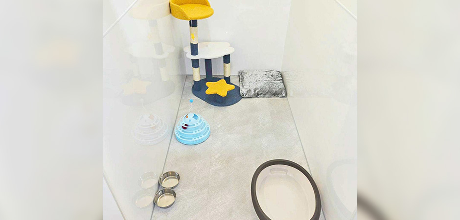 ワンルーク西区名駅店のペットホテル