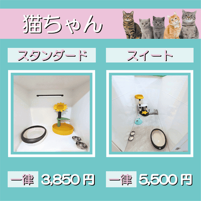 ペットホテル 猫ちゃん スタンダード 一律￥3,850 スイート 一律￥5,500