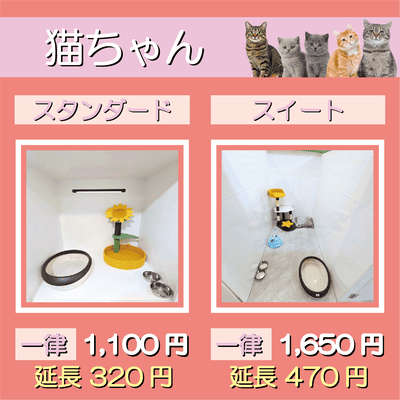 ペットホテル 猫ちゃん スタンダード 一律￥1,100  延長￥320 スイート 一律￥1,650  延長￥470