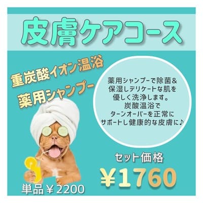 皮膚ケアコース 薬用シャンプー＋重炭酸イオン温浴 セット価格1,760円 単品2,200円