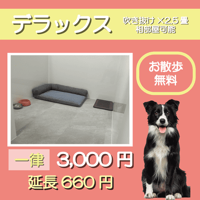 ペットホテル デラックス 吹き抜け2.5畳程 相部屋可能 お散歩無料 一律￥3,300 延長￥660