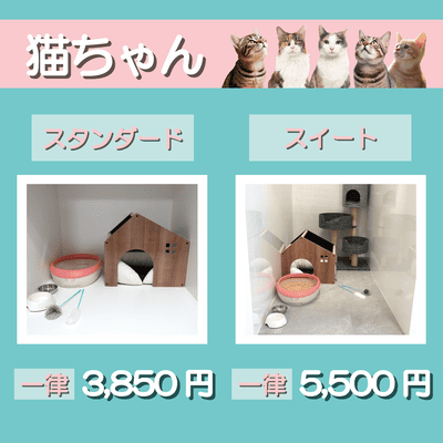 ペットホテル 猫ちゃん スタンダード 一律￥3,850 スイート 一律￥5,500