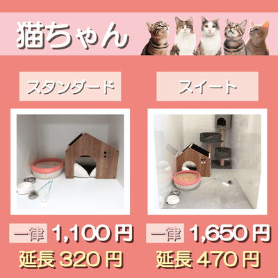 ペットホテル 猫ちゃん スタンダード 一律￥1,100  延長￥320 スイート 一律￥1,650  延長￥470