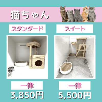 ペットホテル 猫ちゃん スタンダード 一律￥3,850 スイート 一律￥5,500