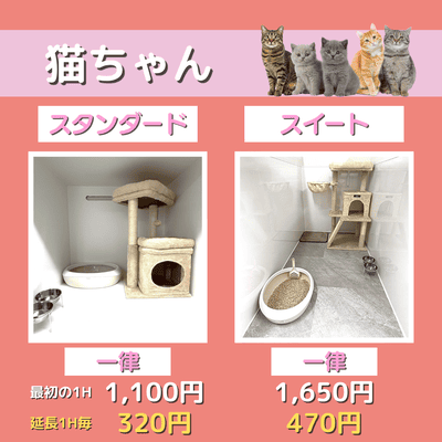 ペットホテル 猫ちゃん スタンダード 一律￥1,100  延長￥320 スイート 一律￥1,650  延長￥470