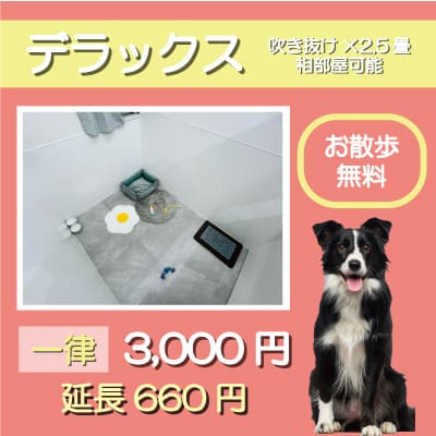 ペットホテル デラックス 吹き抜け2.5畳程 相部屋可能 お散歩無料 一律￥3,300 延長￥660