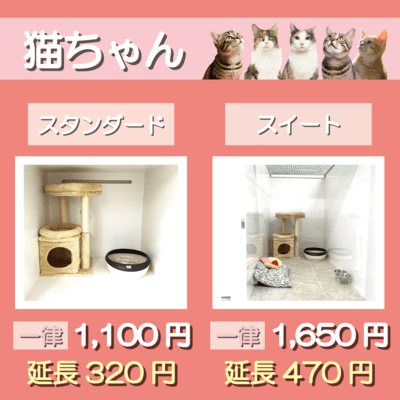 ペットホテル 猫ちゃん スタンダード 一律￥1,100  延長￥320 スイート 一律￥1,650  延長￥470