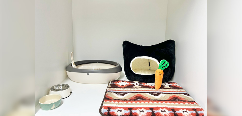 ワンルーク鎌倉大船駅店のペットホテル