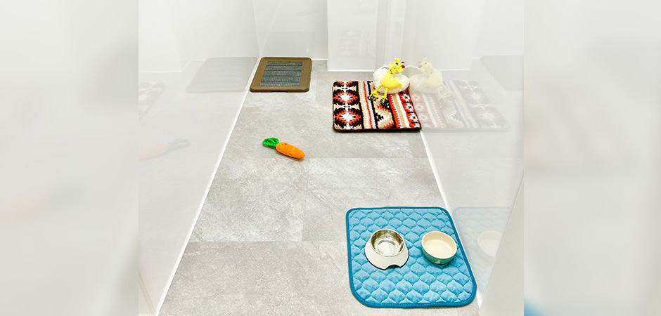 ワンルーク鎌倉大船駅店のペットホテル