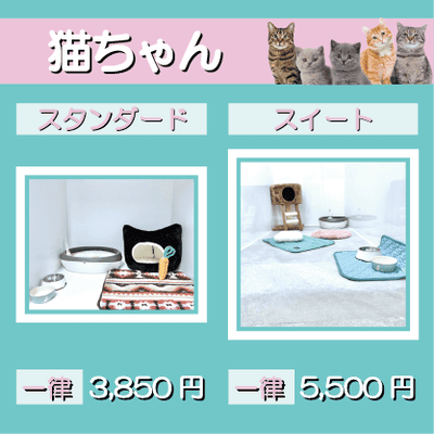 ペットホテル 猫ちゃん スタンダード 一律￥3,850 スイート 一律￥5,500