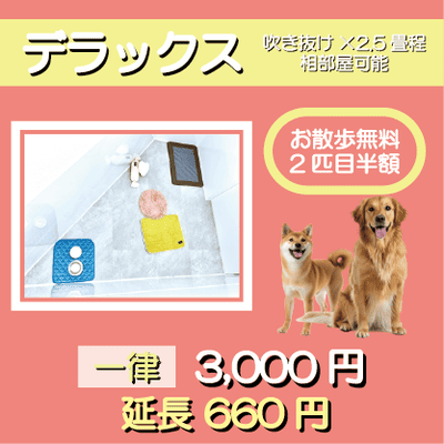 ペットホテル デラックス 吹き抜け2.5畳程 相部屋可能  一律￥3,000 延長￥660 お散歩無料