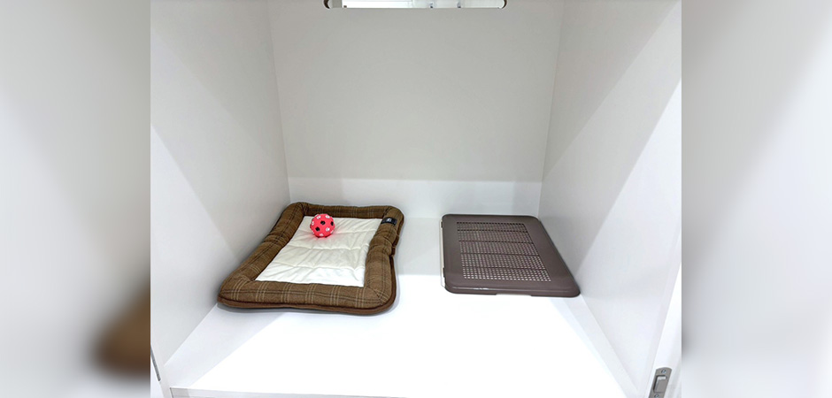 ワンルーク足立区六町店のペットホテル