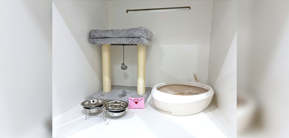 ワンルーク足立区六町店のペットホテル