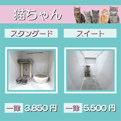 ペットホテル 猫ちゃん スタンダード 一律￥3,850 スイート 一律￥5,500