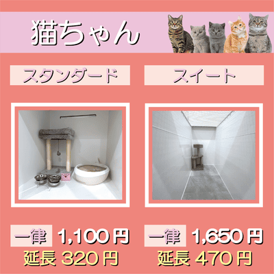 ペットホテル 猫ちゃん スタンダード 一律￥1,100  延長￥320 スイート 一律￥1,650  延長￥470