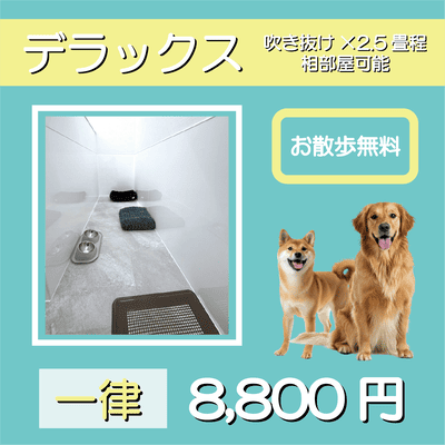 ペットホテル デラックス 吹き抜け2.5畳程 相部屋可能  一律￥8,800 お散歩無料
