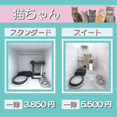 ペットホテル 猫ちゃん スタンダード 一律￥3,850 スイート 一律￥5,500