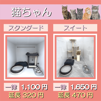 ペットホテル 猫ちゃん スタンダード 一律￥1,100  延長￥320 スイート 一律￥1,650  延長￥470